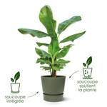 greenville rond 30cm leaf green